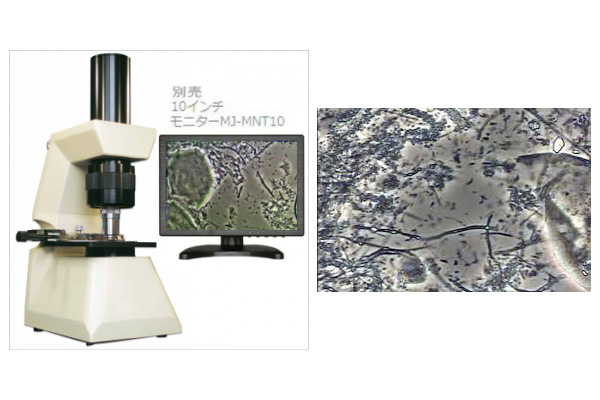 顕微鏡で細菌、カビの確認